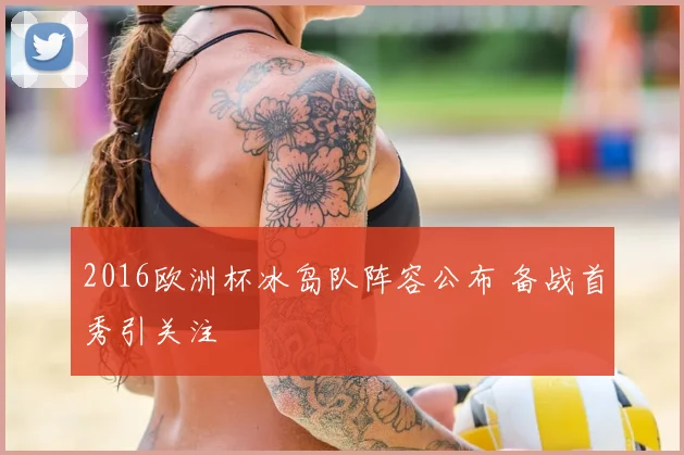 2016欧洲杯冰岛队阵容公布 备战首秀引关注