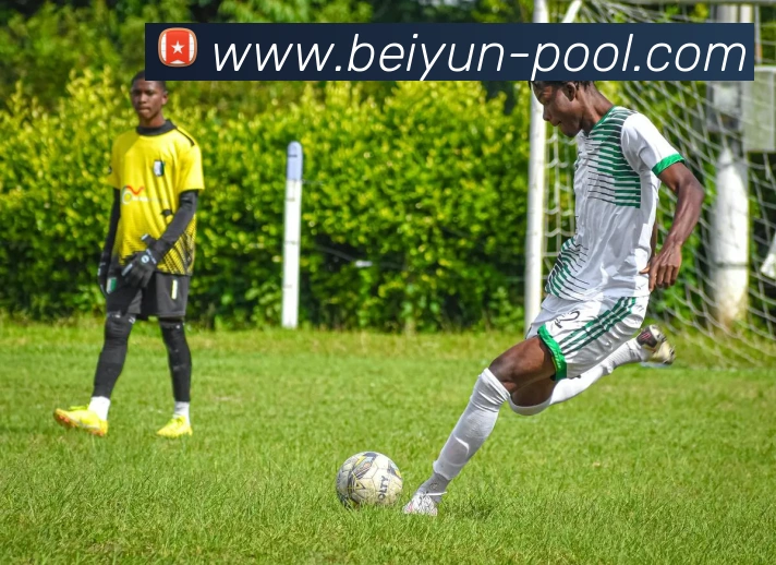 世界杯开户平台服务体系